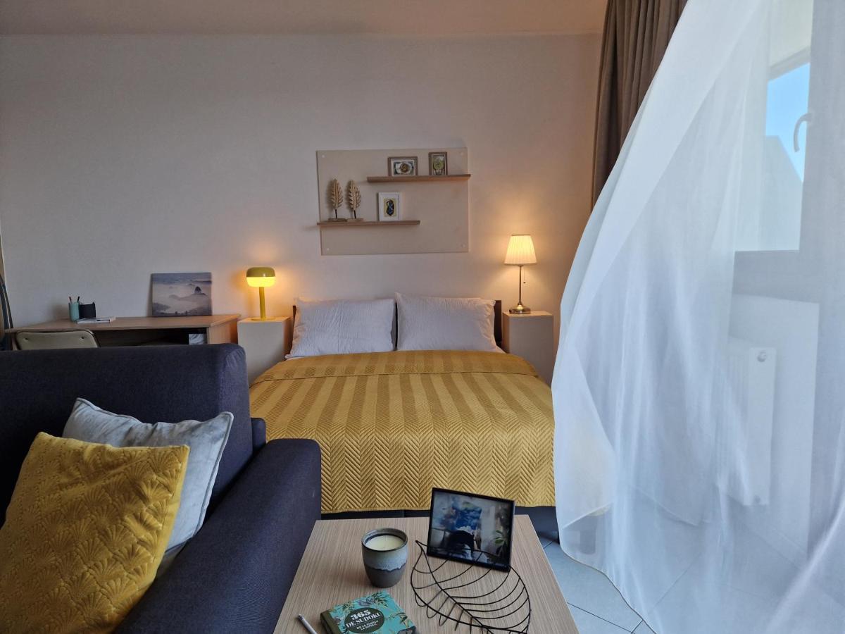 Ferienwohnung Central Skystudio Timişoara Exterior foto